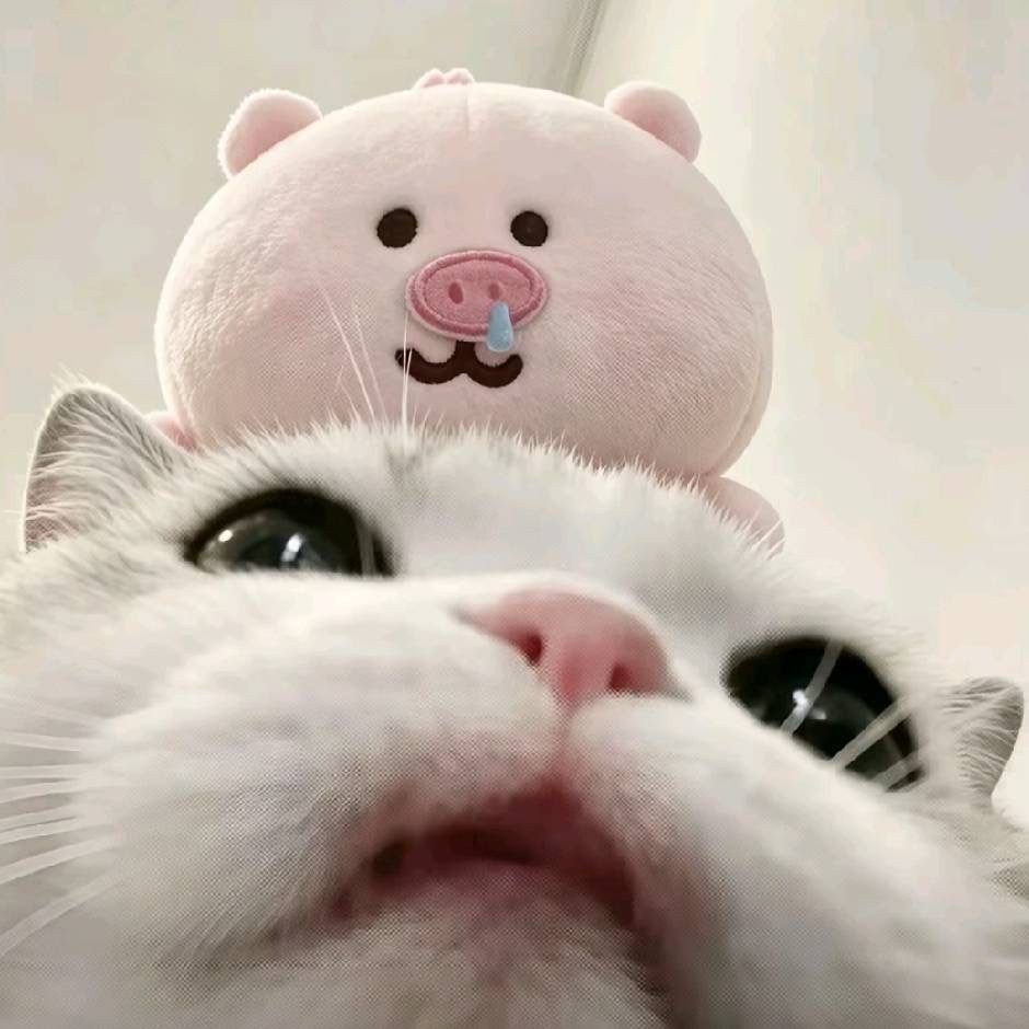 头像